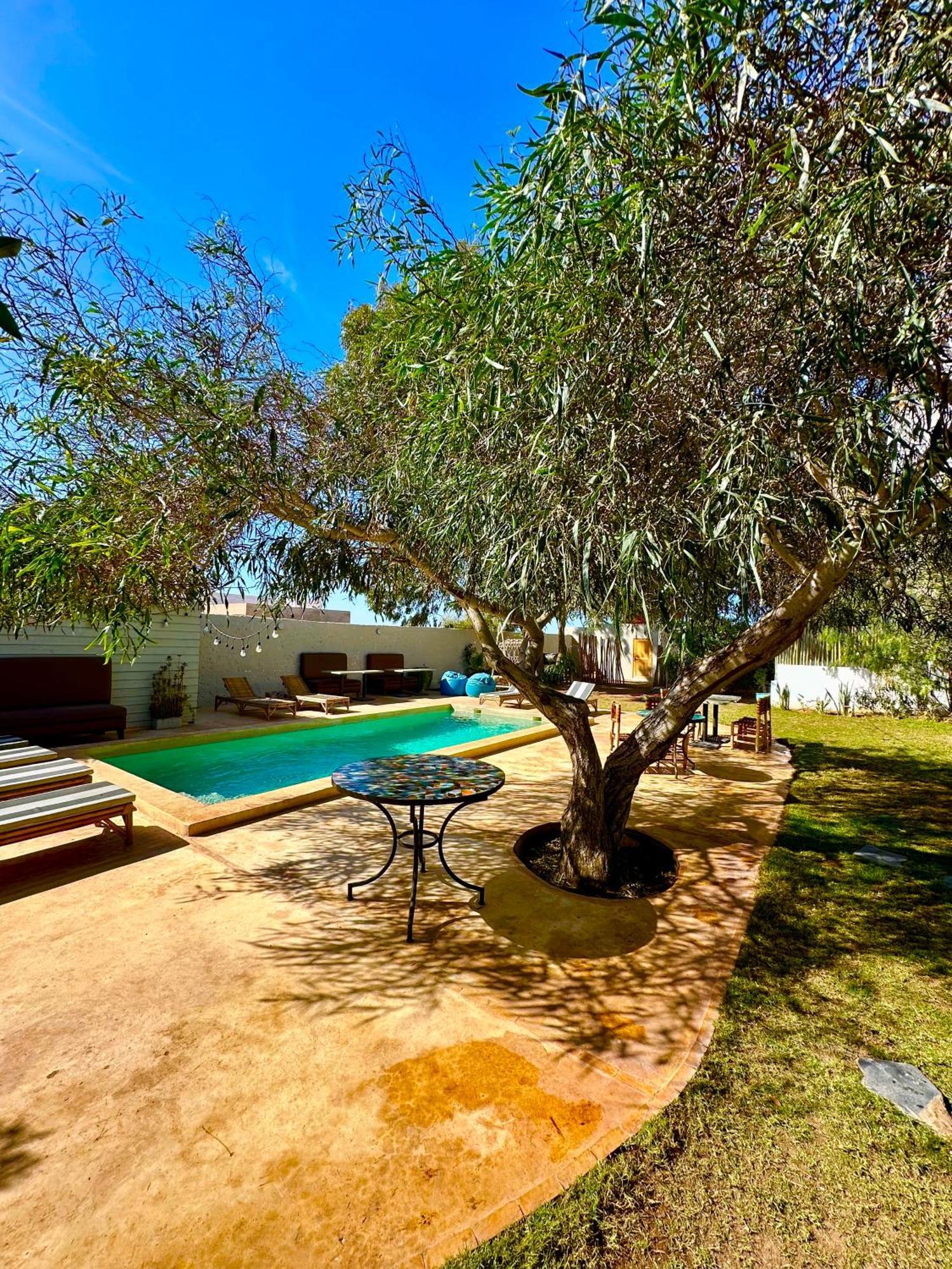Villa Nour Εσαουίρα Εξωτερικό φωτογραφία